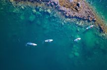 SUP Adventure - Guided Tour in the Lofoten Islands