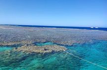 Marsa Mubarak Snorkeling with Turtles & Dugongs from Marsa Alam