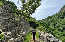 Boseong Tour : Green Tea Field, Mountain & Lake Trail (Private)