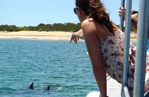 Guided Dolphin Eco-Cruise in Koombana Bay