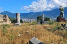 Naples to Pompeii : Pompeii with transport Guided Tour and skip line