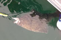 Half Day Halibut Fishing