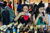 Horseback riding, coffee and chocolate tasting and Macao beach