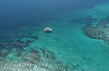 Mission Beach: Small Group | Outer Reef Snorkel & Dunk Island