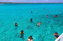 White Island and Ras Mohamed Snorkeling Trip from Sharm 