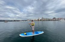 Paddling Inner Harbour - Downtown Victoria BC