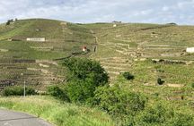 Guided Tour of the Coteaux Côte Rôtie for Parents and Children Duos