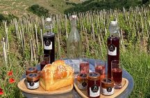 Guided Tour of the Coteaux Côte Rôtie for Parents and Children Duos