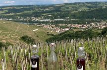 Guided Tour of the Coteaux Côte Rôtie for Parents and Children Duos