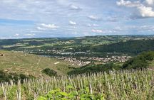 Guided Tour of the Coteaux Côte Rôtie for Parents and Children Duos