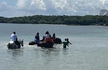 Bamboo Rafting and HorseBack Riding Excursion in OchoRios Jamaica
