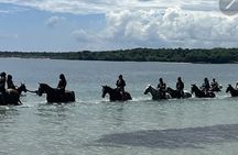 Bamboo Rafting and HorseBack Riding Excursion in OchoRios Jamaica