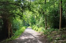 Blenheim and Woodstock Ebike Tour