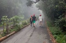 Small Group Half Day Guided Tour Visit to Poas Volcano