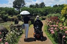 A wheelchair-friendly trip west of Jeju