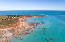 Guided Paspaley Pearl Farm Tour with Return Transfers
