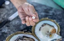 Guided Paspaley Pearl Farm Tour with Return Transfers