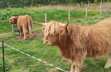 Inverness Highland Bucket List Private Tour