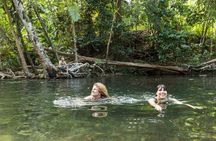 Daintree Rainforest and Cape Tribulation Full Day Tour