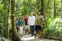 Daintree Rainforest and Cape Tribulation Full Day Tour