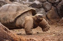 8 Day Full Pack Galapagos Multi-Sport Adventure (4-5 Island Tour)