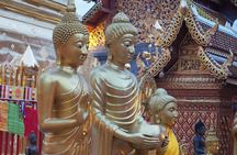 Chiangmai : Doi Pui Summit Hiking Experience