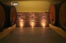 Visit and tasting of wines and cheese and charcuterie platter