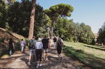 Guided Group Tour of Colosseum, Palatine Hill and Roman Forum