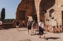Rome: Small Group Tour of Colosseum, Palatine Hill & Forum