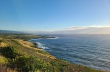 5 Hour Custom Private Tour of Hawaii