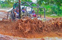 Buggy Ride into the Jungle coffee , chocolate tasting Cenote