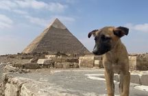 Private Tour Giza Pyramids, Sphinx And Grand Egyptian Museum