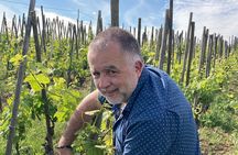Visit and aperitif of the hills between Côte Rôtie and Condrieu