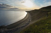 Scenic Coast and Wildlife Tour