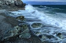 Scenic Coast and Wildlife Tour