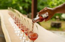 Petite Nation Wine & Cider Tour - Day Trip From Ottawa & Gatineau