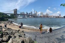 Brooklyn Heights: New York City's First Suburb