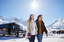 Jasper to Lake Louise One-Way Tour