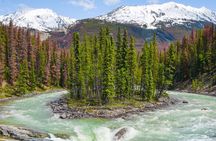 Jasper to Lake Louise One-Way Tour