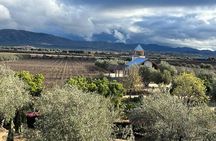 Private Tour Premium Wineries in the Valle de Guadalupe