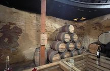 Private Tour Premium Wineries in the Valle de Guadalupe