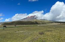 Full-Day Cotopaxi Volcano Tour from Quito – Nature & Hiking