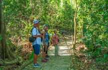 Carara National Park Guided Tour