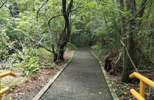 Nature and Culture Experience at Santa Rosa National Park