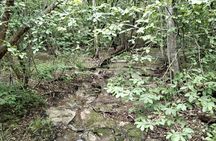 Nature and Culture Experience at Santa Rosa National Park