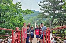 Korea DMZ Tour with Heroes Suspension Bridge