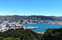 Wellington's Original LOTR Experience - includes Weta and Lunch