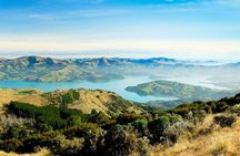 Christchurch City Highlights Half Day Tour