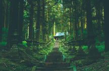 Mt. Aso and Takachiho Gorge 1 Day Highlights Tour From Kumamoto