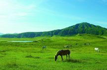 Mt. Aso and Takachiho Gorge 1 Day Highlights Tour From Kumamoto
